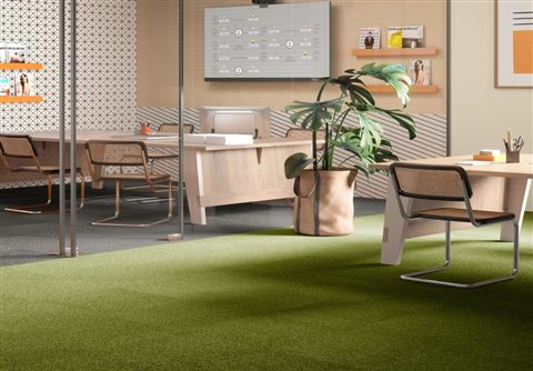 Maxima Tile