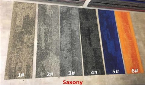 Luxury Saxony